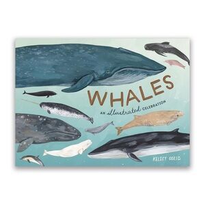 Whales: An Illustrated Celebration by Kelsey Oseid Hardback Nature Book